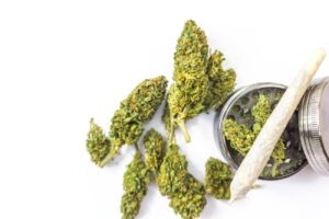 marijuana joint and flower buds isolated on white 2023 11 27 05 04 43 utc